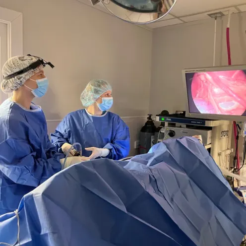 Dr. Nancy and Dr. Chesney performing a Laparoscopic Spay 